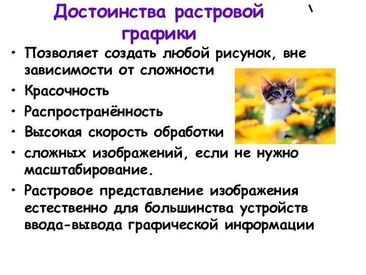 Достоинства растровой графики Позволяет создать любой рисунок, вне зависимости от сложности Красочность