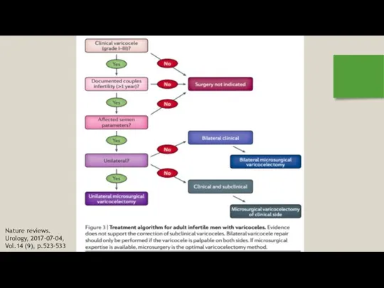 Nature reviews. Urology, 2017-07-04, Vol.14 (9), p.523-533