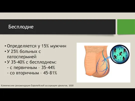 Бесплодие Определяется у 15% мужчин У 25% больных с патоспермией У 35-40%