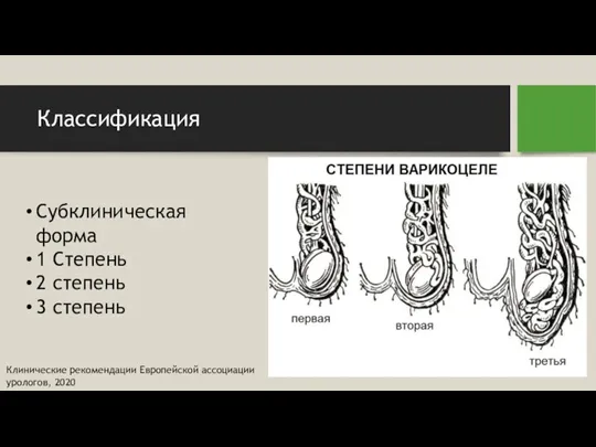 Классификация Субклиническая форма 1 Степень 2 степень 3 степень Клинические рекомендации Европейской ассоциации урологов, 2020