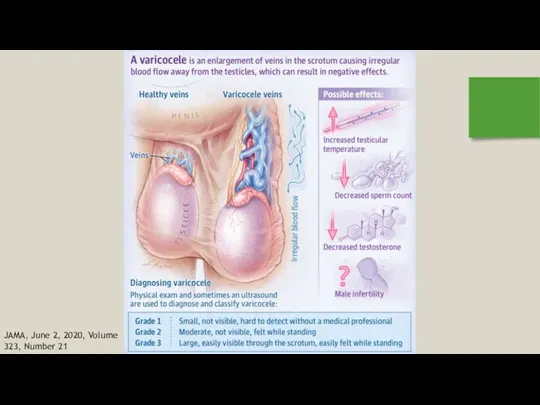 JAMA, June 2, 2020, Volume 323, Number 21