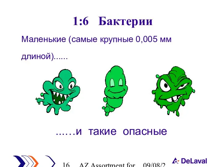 AZ Assortment for cleaning 09/08/2023 1:6 Бактерии Маленькие (самые крупные 0,005 мм длиной)...... ...…и такие опасные