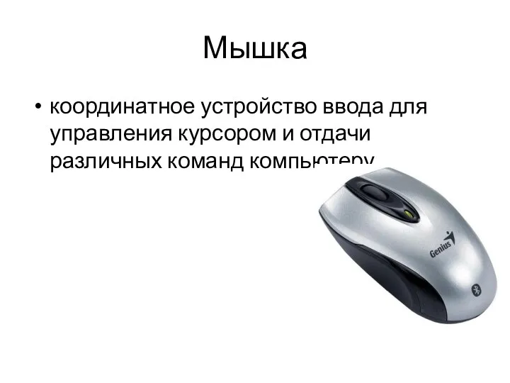 Мышка координатное устройство ввода для управления курсором и отдачи различных команд компьютеру