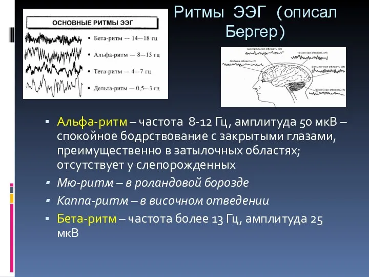 Ритмы ЭЭГ (описал Бергер) Альфа-ритм – частота 8-12 Гц, амплитуда 50 мкВ