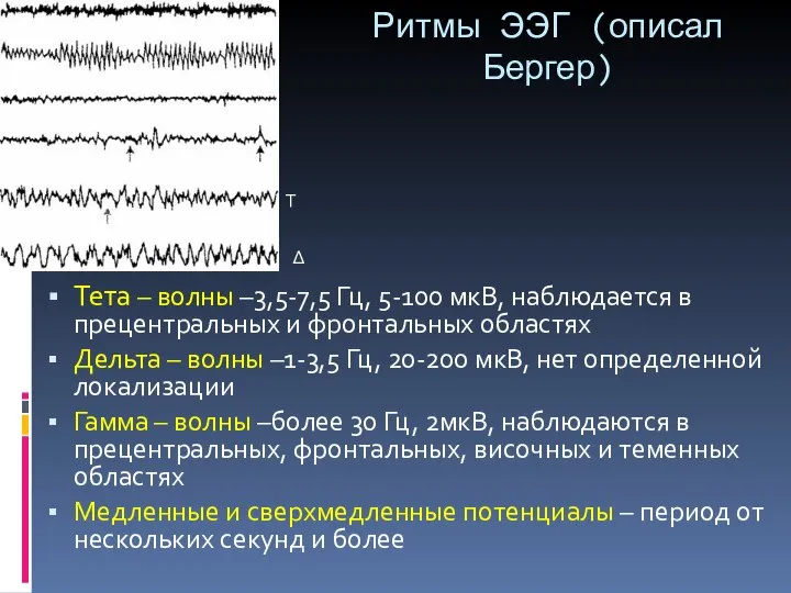 Ритмы ЭЭГ (описал Бергер) Тета – волны –3,5-7,5 Гц, 5-100 мкВ, наблюдается