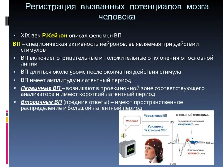 Регистрация вызванных потенциалов мозга человека XIX век Р.Кейтон описал феномен ВП ВП