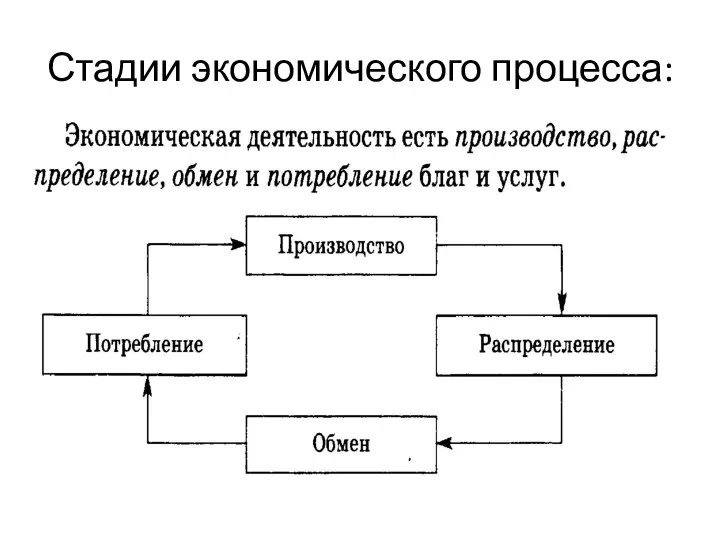 Стадии экономического процесса: