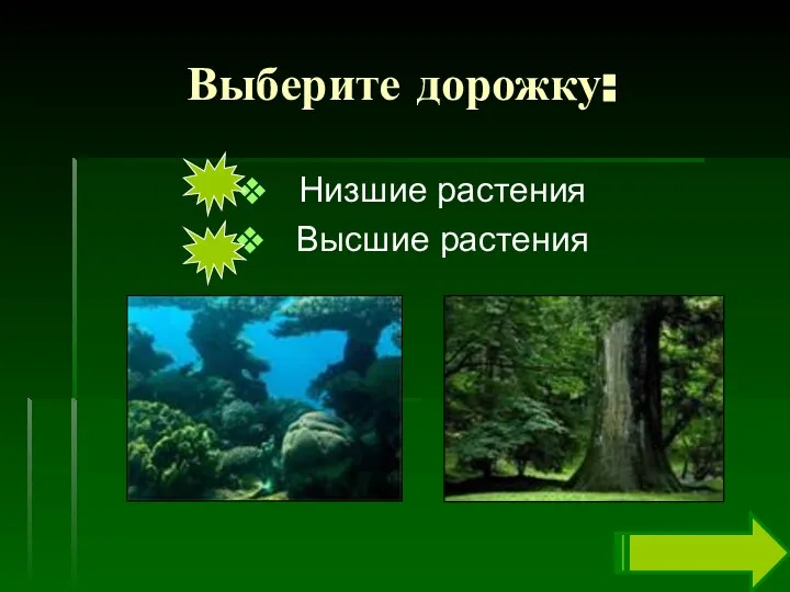 Выберите дорожку: Низшие растения Высшие растения