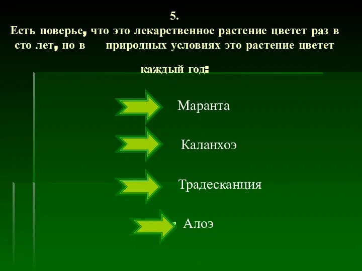 5. Есть поверье, что это лекарственное растение цветет раз в сто лет,