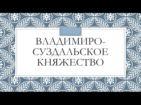 ВЛАДИМИРО-СУЗДАЛЬСКОЕ КНЯЖЕСТВО