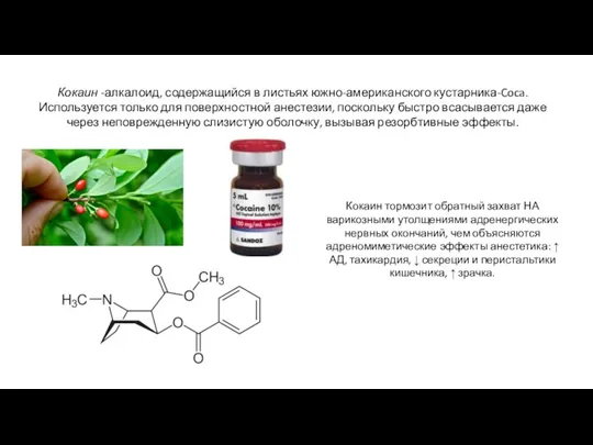 Кокаин -алкалоид, содержащийся в листьях южно-американского кустарника-Coca. Используется только для поверхностной анестезии,