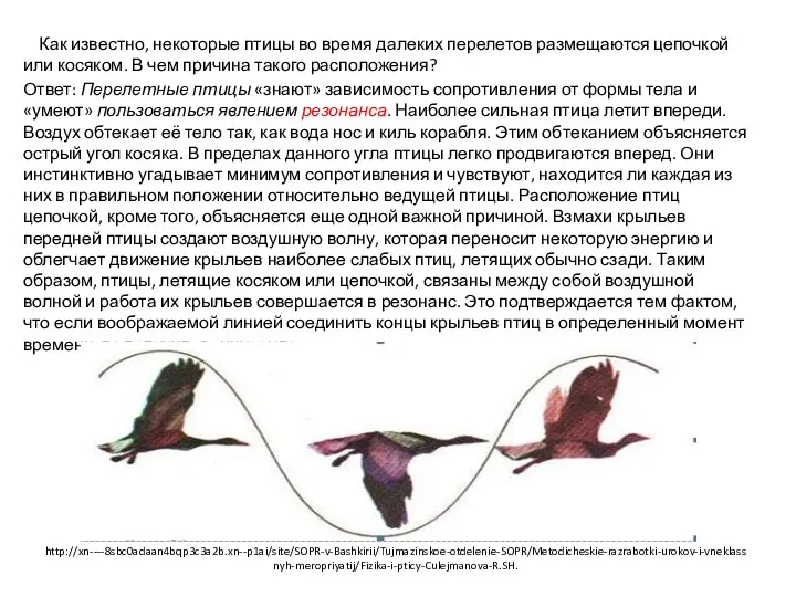 http://xn----8sbc0adaan4bqp3c3a2b.xn--p1ai/site/SOPR-v-Bashkirii/Tujmazinskoe-otdelenie-SOPR/Metodicheskie-razrabotki-urokov-i-vneklassnyh-meropriyatij/Fizika-i-pticy-Culejmanova-R.SH. Как известно, некоторые птицы во время далеких перелетов размещаются цепочкой или