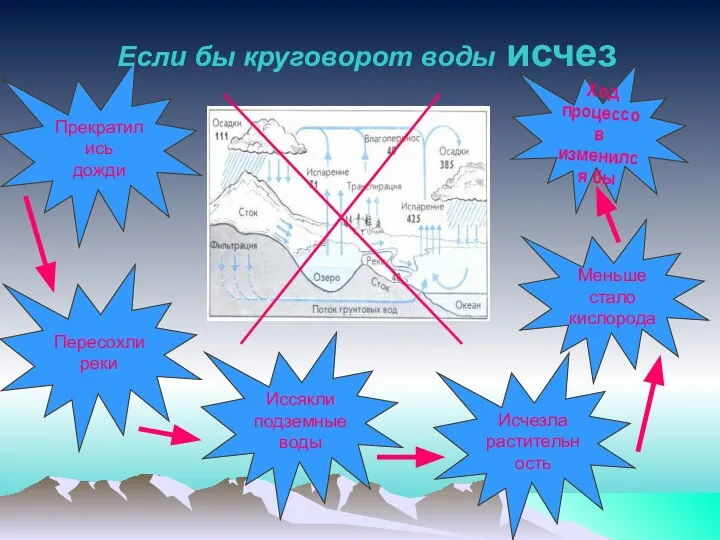 Ход процессов изменился бы Меньше стало кислорода Исчезла растительность Иссякли подземные воды