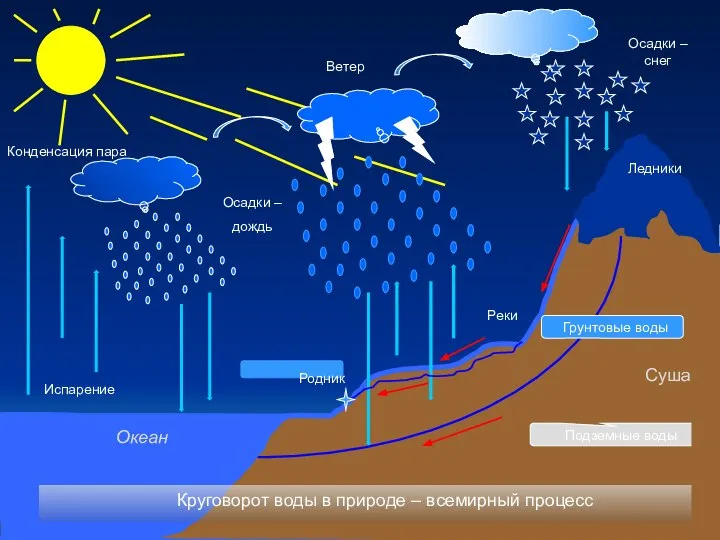 Испарение Конденсация пара Осадки – дождь Осадки – снег Ветер Круговорот воды