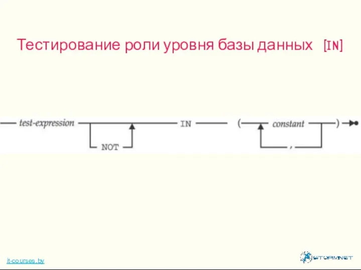 Тестирование роли уровня базы данных (IN) it-courses.by