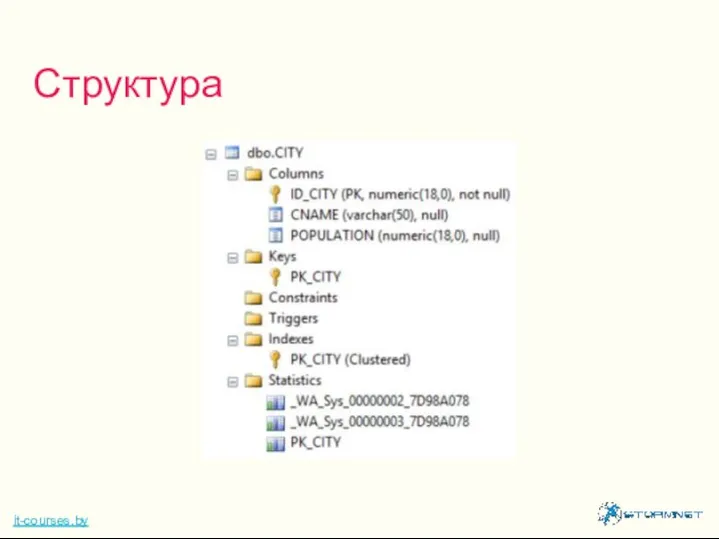 Структура it-courses.by