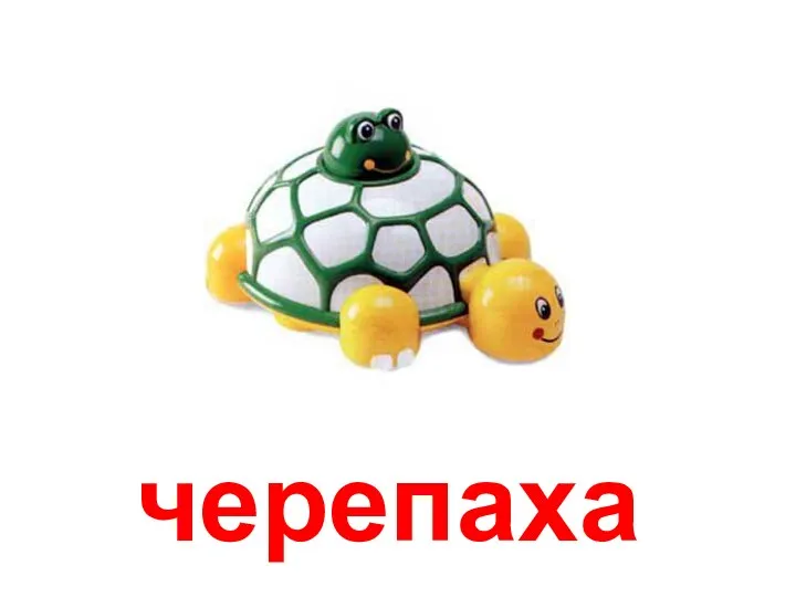 черепаха