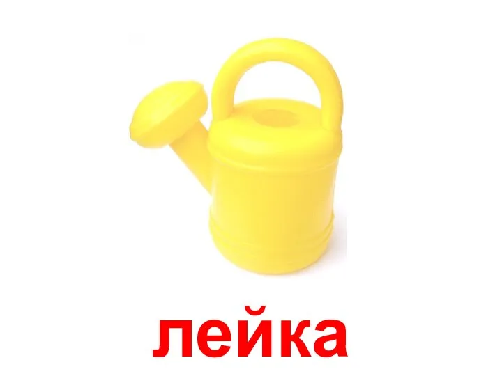 лейка