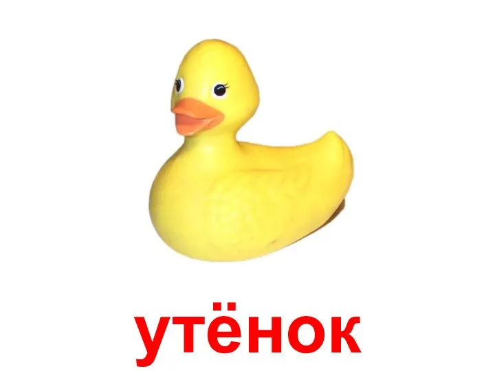 утёнок