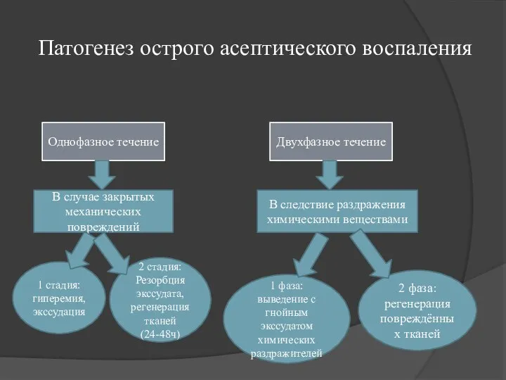 Патогенез острого асептического воспаления Однофазное течение В случае закрытых механических повреждений 1