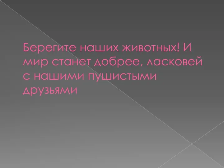 Берегите наших животных! И мир станет добрее, ласковей с нашими пушистыми друзьями