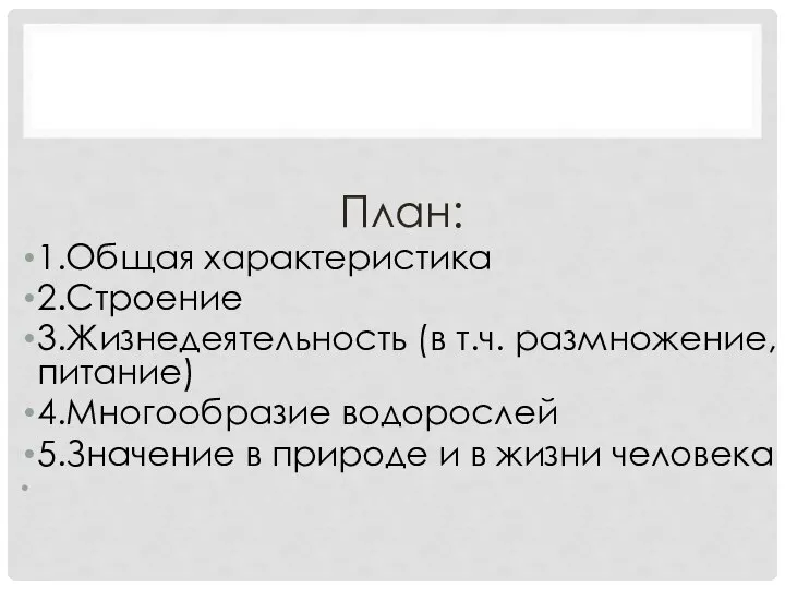 План: 1.Общая характеристика 2.Строение 3.Жизнедеятельность (в т.ч. размножение, питание) 4.Многообразие водорослей 5.Значение