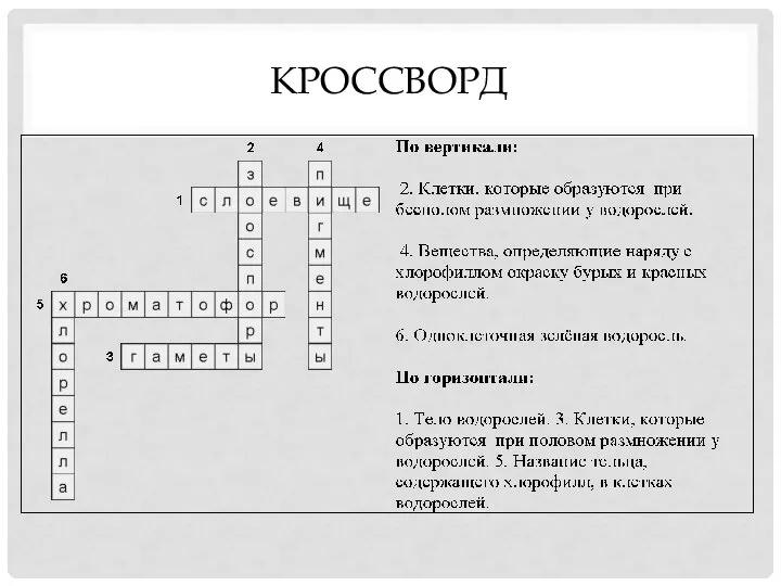 КРОССВОРД