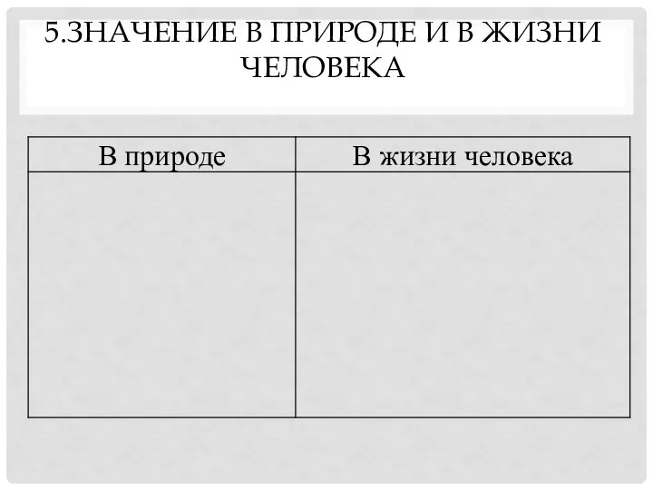 5.ЗНАЧЕНИЕ В ПРИРОДЕ И В ЖИЗНИ ЧЕЛОВЕКА