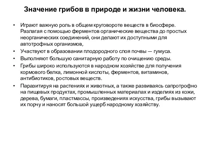 Значение грибов в природе и жизни человека. Играют важную роль в общем