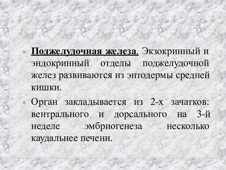 Поджелудочная железа. Экзокринный и эндокринный отделы поджелудочной желез развиваются из энтодермы средней