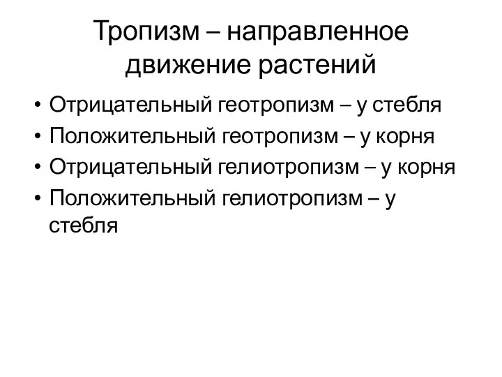 Тропизм – направленное движение растений Отрицательный геотропизм – у стебля Положительный геотропизм