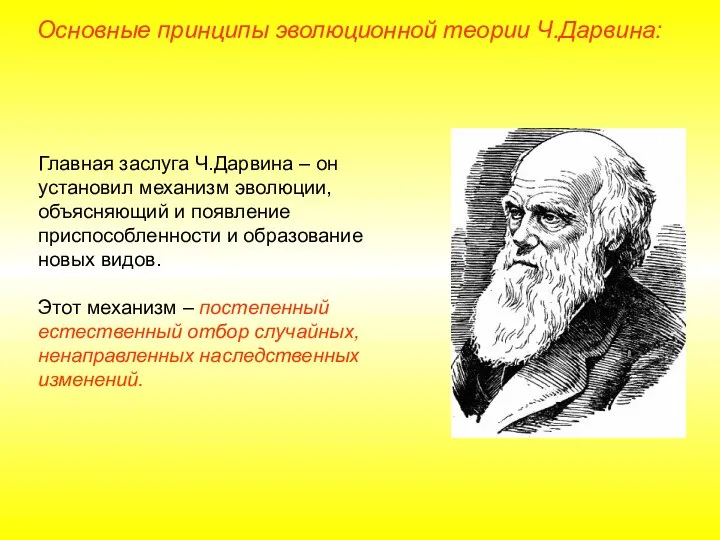 Главная заслуга Ч.Дарвина – он установил механизм эволюции, объясняющий и появление приспособленности