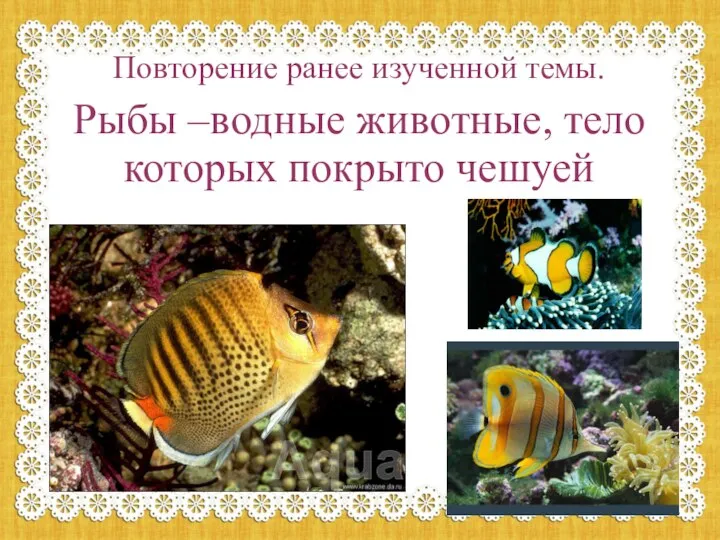 Повторение ранее изученной темы. Рыбы –водные животные, тело которых покрыто чешуей