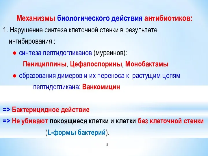 Механизмы биологического действия антибиотиков: 1. Нарушение синтеза клеточной стенки в результате ингибирования