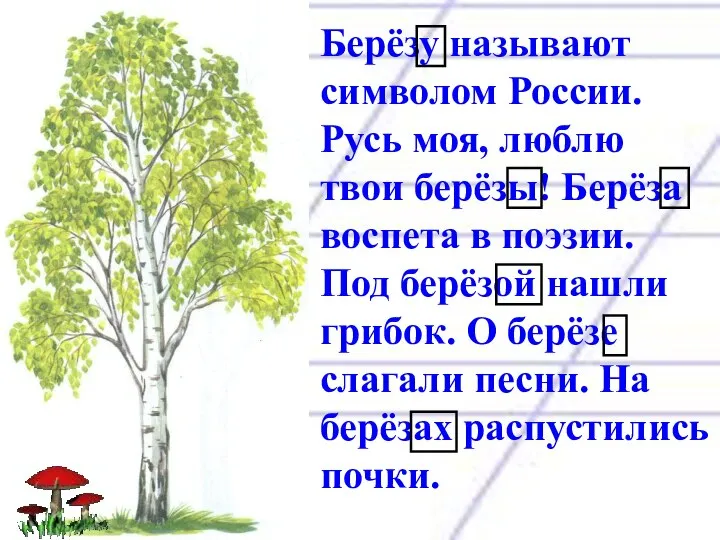 Берёзу называют символом России. Русь моя, люблю твои берёзы! Берёза воспета в