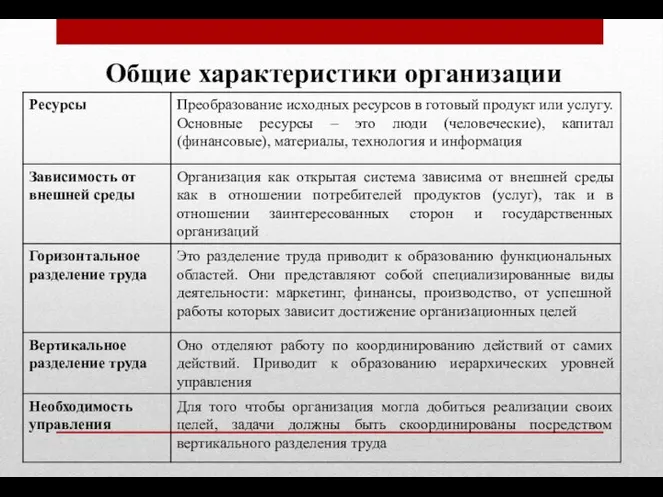 Общие характеристики организации