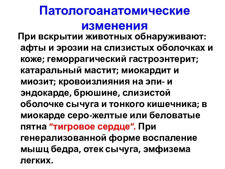 Патологоанатомические изменения При вскрытии животных обнаруживают: афты и эрозии на слизистых оболочках