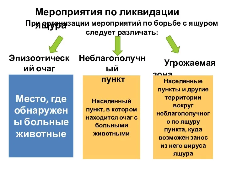 Мероприятия по ликвидации ящура При организации мероприятий по борьбе с ящуром следует