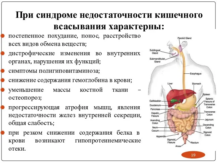 При синдроме недостаточности кишечного всасывания характерны: постепенное похудание, понос, расстройство всех видов