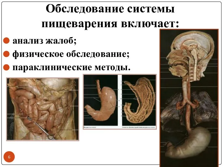 Обследование системы пищеварения включает: анализ жалоб; физическое обследование; параклинические методы.