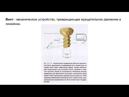 Винт - механическое устройство, превращающее вращательное движение в линейное.