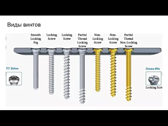 Виды винтов
