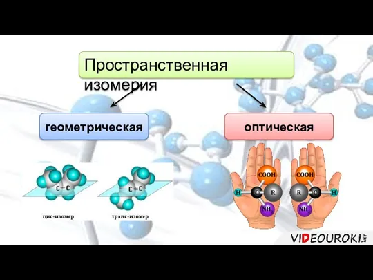 Пространственная изомерия геометрическая оптическая