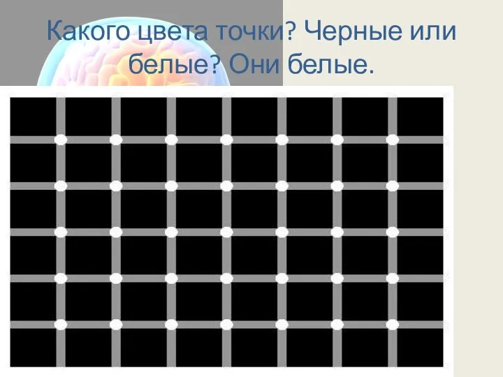 Какого цвета точки? Черные или белые? Они белые.