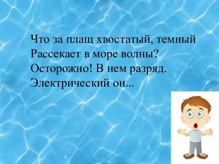 Что за плащ хвостатый, темный Рассекает в море волны? Осторожно! В нем разряд. Электрический он...