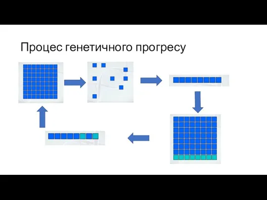 Процес генетичного прогресу