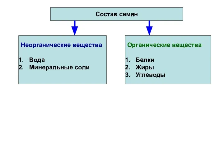 Состав семян Органические вещества Белки Жиры Углеводы Неорганические вещества Вода Минеральные соли