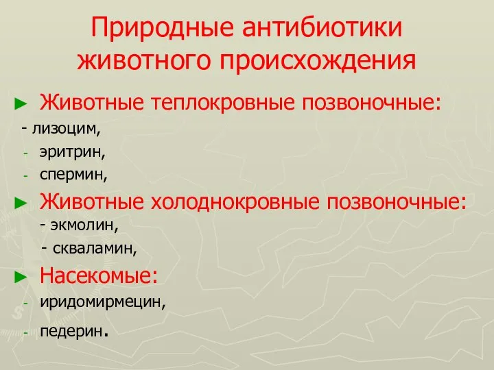 Природные антибиотики животного происхождения Животные теплокровные позвоночные: - лизоцим, эритрин, спермин, Животные