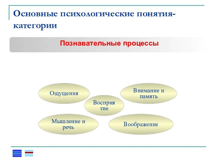 Основные психологические понятия-категории Познавательные процессы Восприятие Ощущения Внимание и память Мышление и речь Воображение