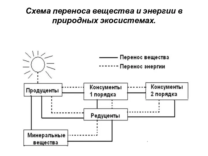 Схема переноса вещества и энергии в природных экосистемах.